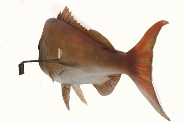 도미 조형물 물고기 모형