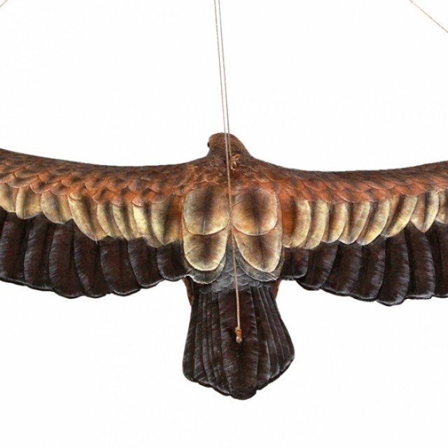 쐐기 꼬리 독수리 모형 조형물 인테리어 모빌 포토존 장식인형 187cm